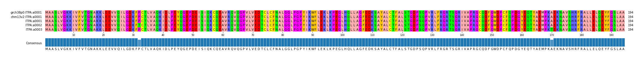 Multiple Alignments (by translate haplotype frequency)
