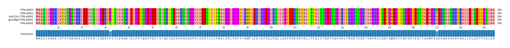 Multiple Alignments (by translate haplotype similarity)