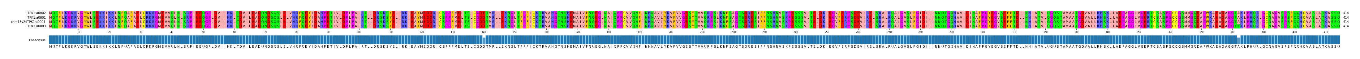 Multiple Alignments (by translate haplotype similarity)