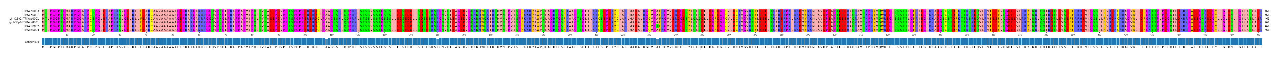 Multiple Alignments (by translate haplotype similarity)