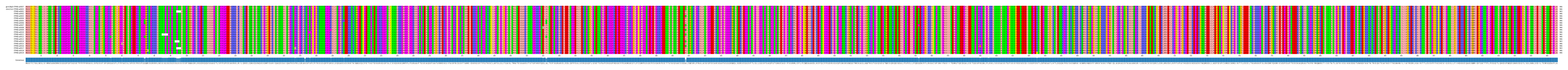 Multiple Alignments (by translate haplotype frequency)
