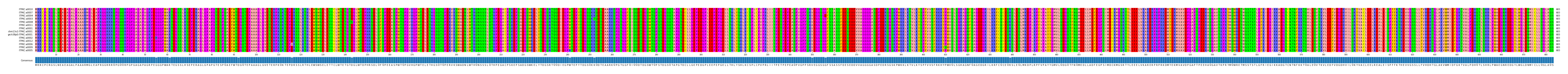 Multiple Alignments (by translate haplotype similarity)