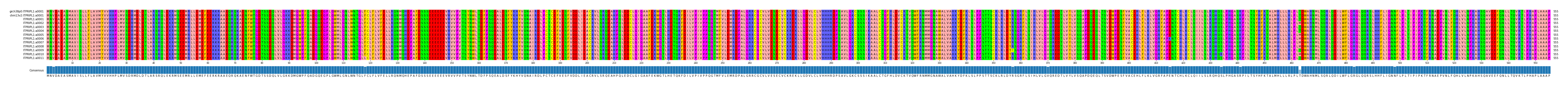 Multiple Alignments (by translate haplotype frequency)