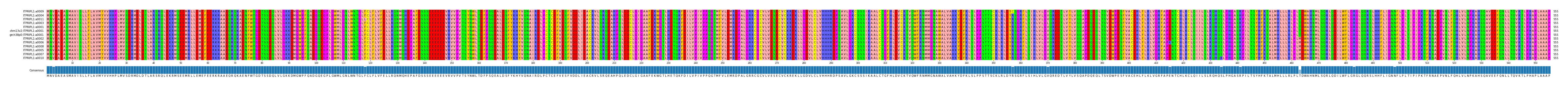 Multiple Alignments (by translate haplotype similarity)
