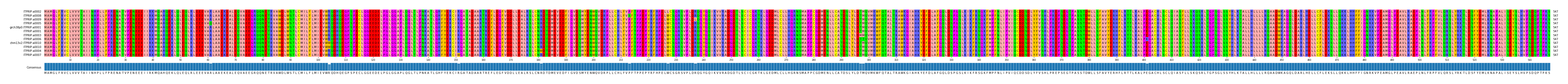 Multiple Alignments (by translate haplotype similarity)