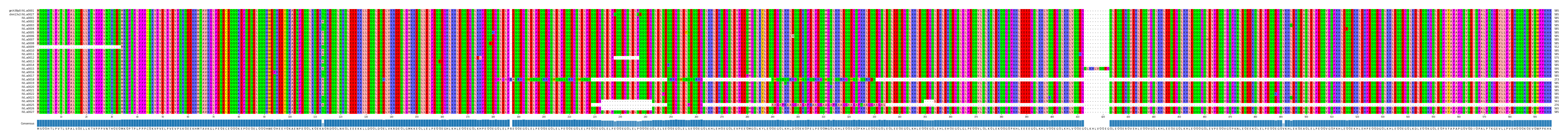 Multiple Alignments (by translate haplotype frequency)