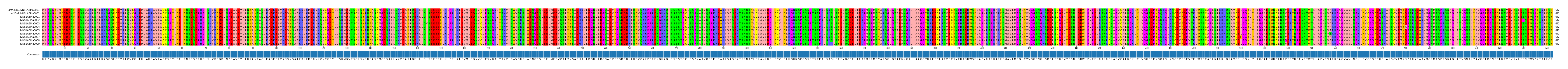 Multiple Alignments (by translate haplotype frequency)
