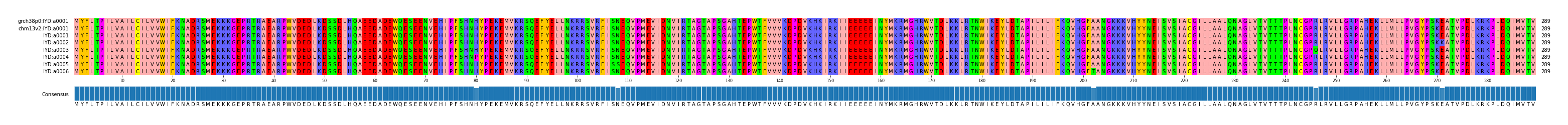 Multiple Alignments (by translate haplotype frequency)