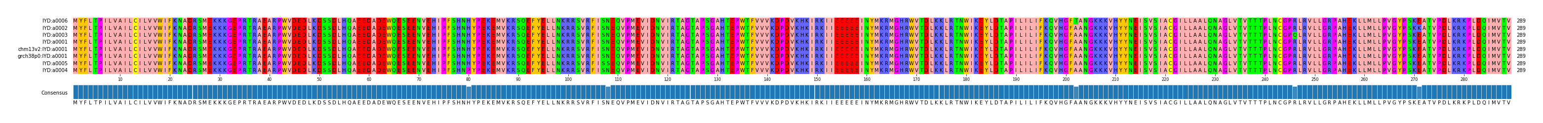 Multiple Alignments (by translate haplotype similarity)