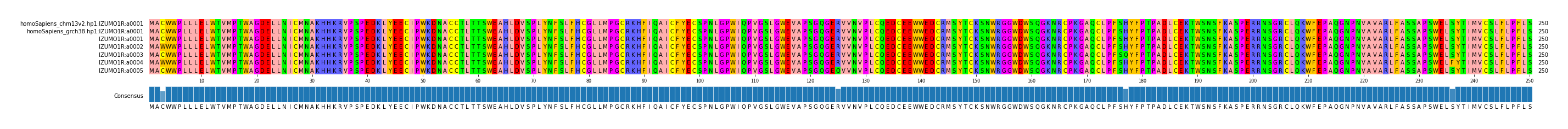 Multiple Alignments (by translate haplotype frequency)