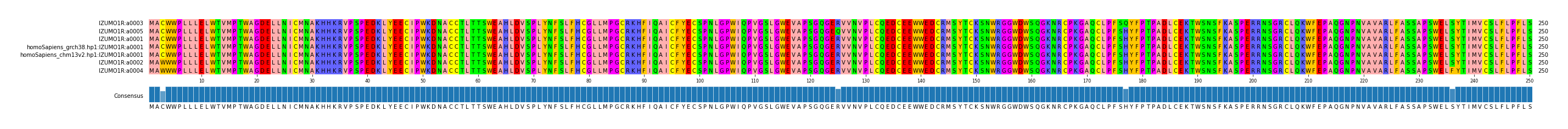 Multiple Alignments (by translate haplotype similarity)