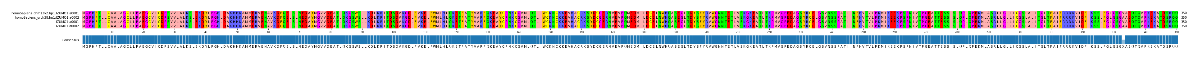 Multiple Alignments (by translate haplotype frequency)