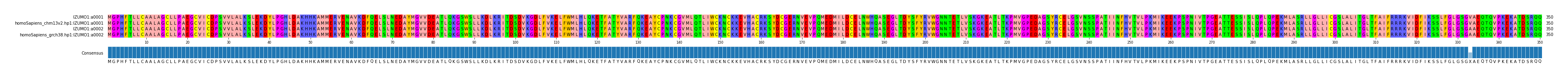 Multiple Alignments (by translate haplotype similarity)