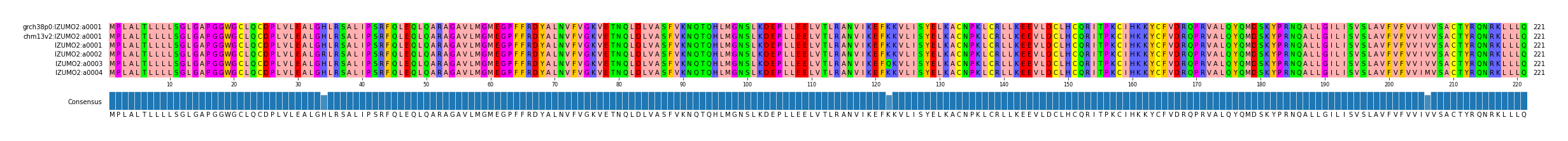 Multiple Alignments (by translate haplotype frequency)