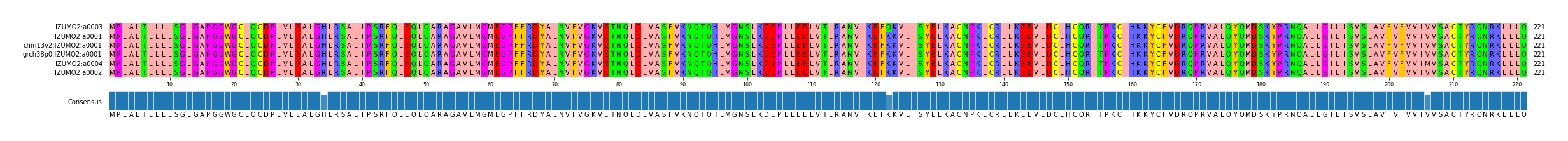 Multiple Alignments (by translate haplotype similarity)