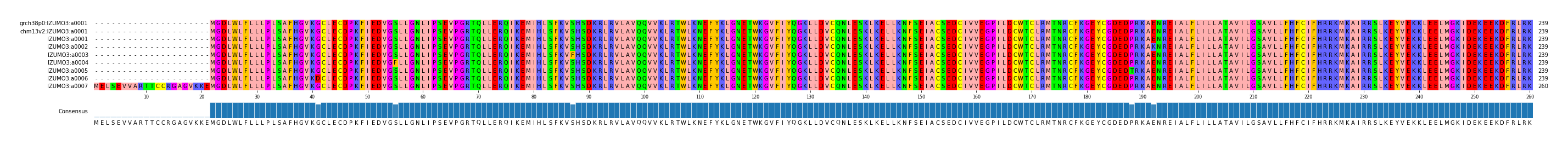 Multiple Alignments (by translate haplotype frequency)