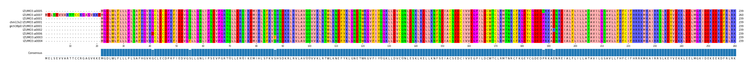 Multiple Alignments (by translate haplotype similarity)