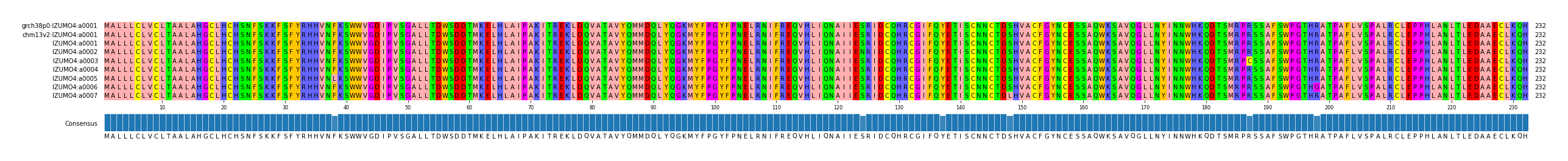 Multiple Alignments (by translate haplotype frequency)