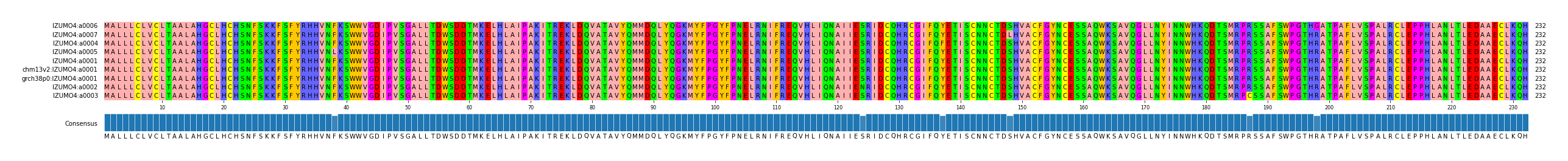 Multiple Alignments (by translate haplotype similarity)