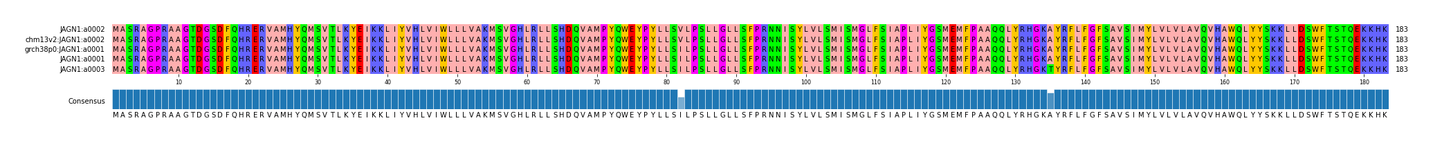 Multiple Alignments (by translate haplotype similarity)