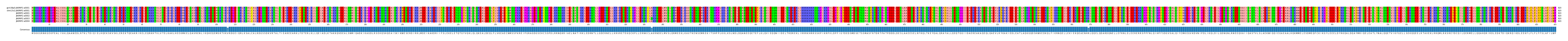 Multiple Alignments (by translate haplotype frequency)