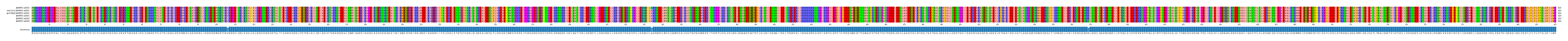 Multiple Alignments (by translate haplotype similarity)