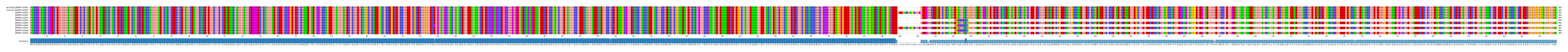 Multiple Alignments (by translate haplotype frequency)