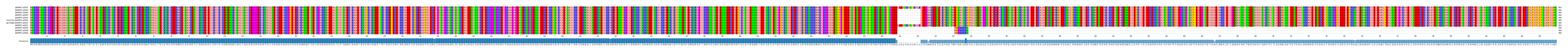 Multiple Alignments (by translate haplotype similarity)