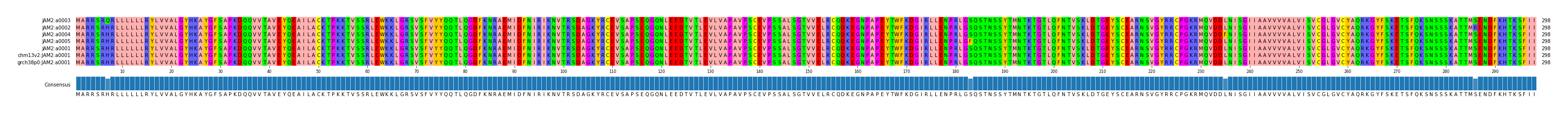 Multiple Alignments (by translate haplotype similarity)