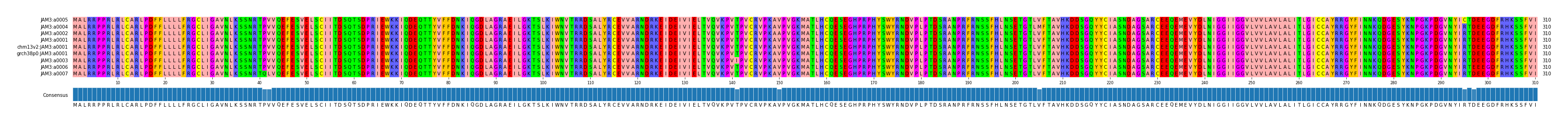 Multiple Alignments (by translate haplotype similarity)