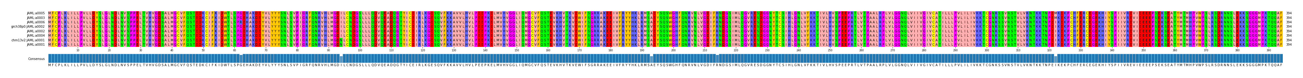 Multiple Alignments (by translate haplotype similarity)