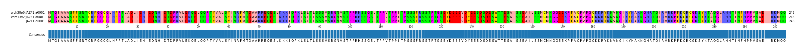 Multiple Alignments (by translate haplotype similarity)
