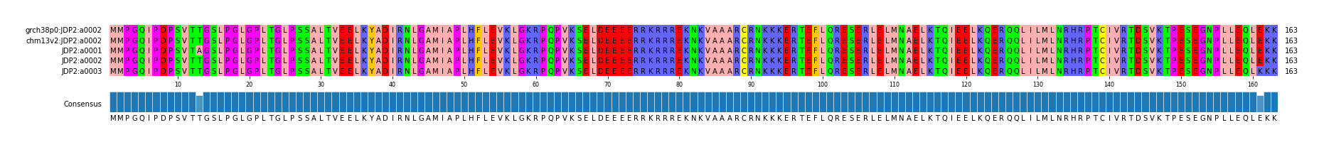 Multiple Alignments (by translate haplotype frequency)