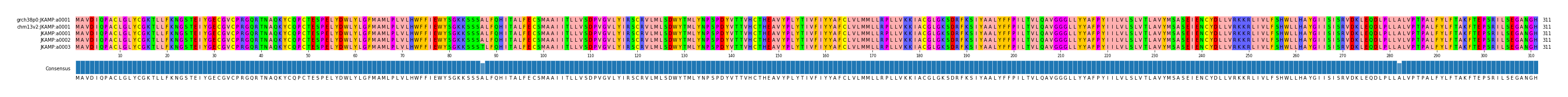 Multiple Alignments (by translate haplotype frequency)