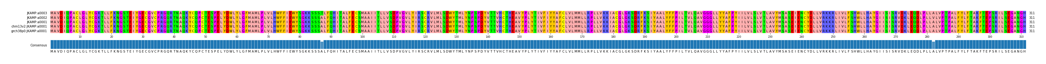 Multiple Alignments (by translate haplotype similarity)