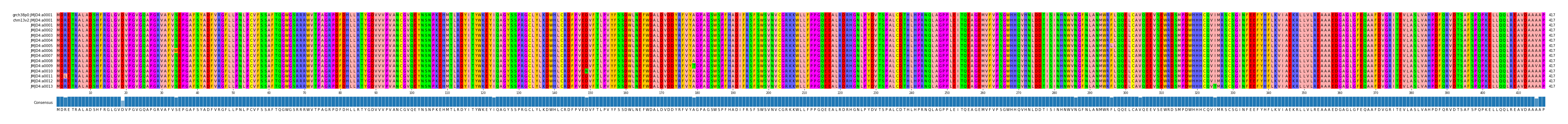 Multiple Alignments (by translate haplotype frequency)