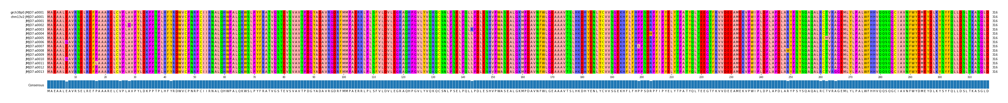 Multiple Alignments (by translate haplotype frequency)