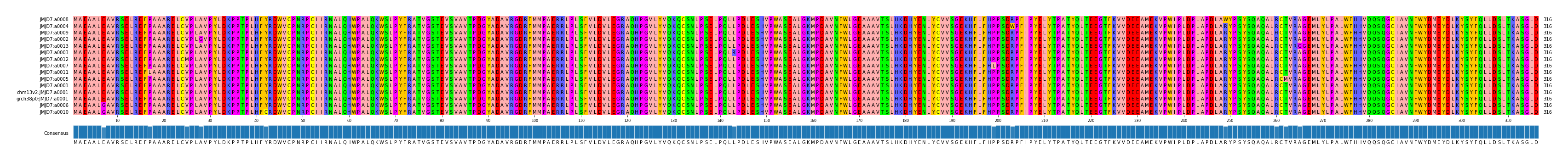 Multiple Alignments (by translate haplotype similarity)
