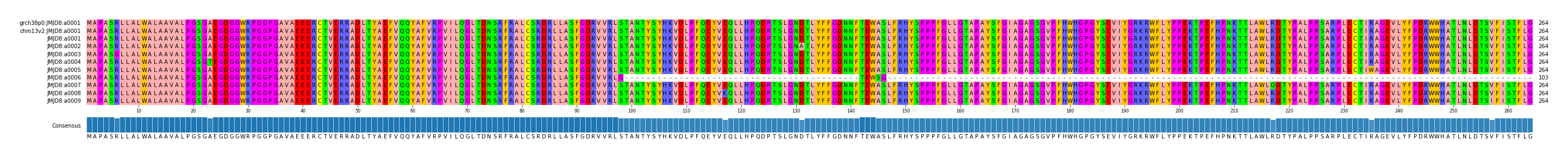 Multiple Alignments (by translate haplotype frequency)