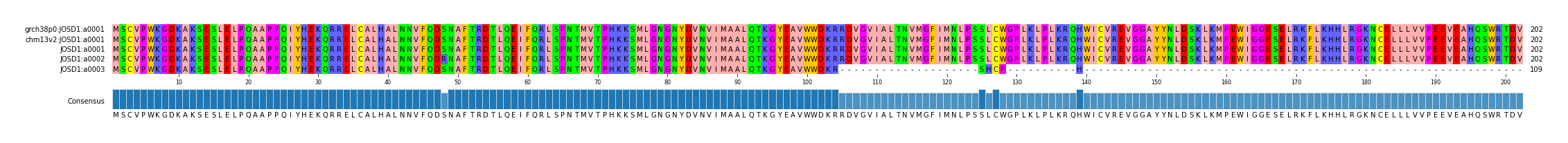 Multiple Alignments (by translate haplotype frequency)