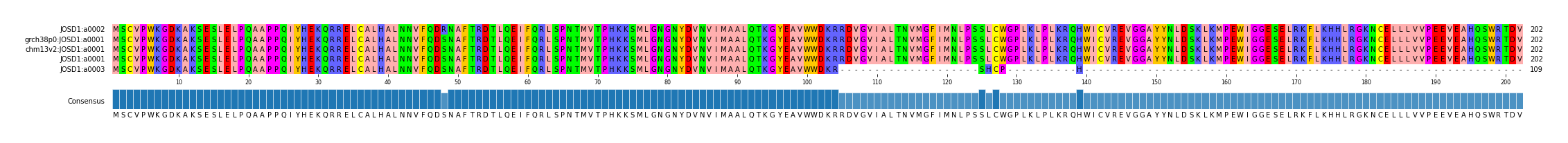 Multiple Alignments (by translate haplotype similarity)
