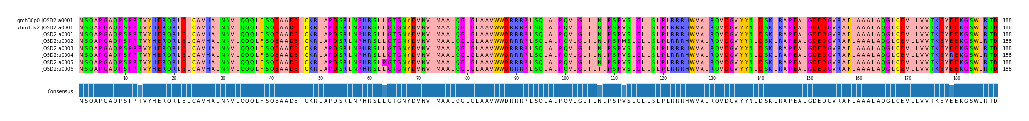 Multiple Alignments (by translate haplotype frequency)