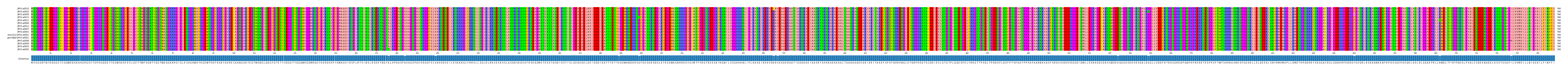 Multiple Alignments (by translate haplotype similarity)
