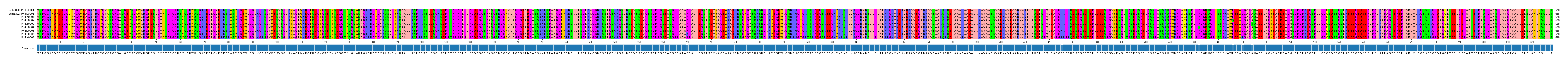 Multiple Alignments (by translate haplotype frequency)