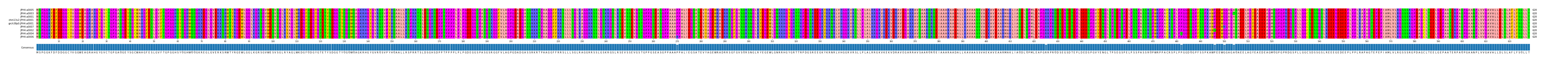 Multiple Alignments (by translate haplotype similarity)