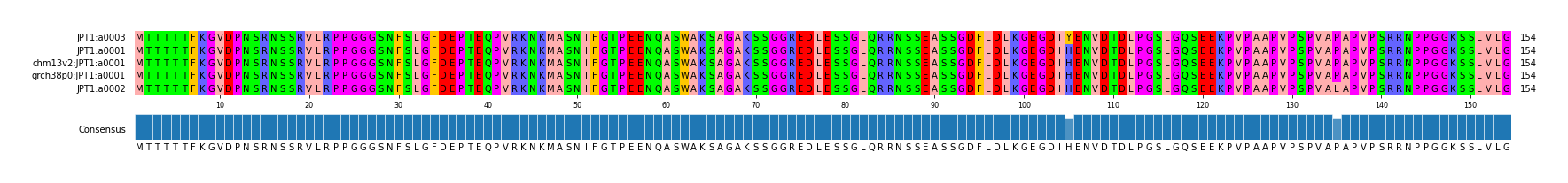 Multiple Alignments (by translate haplotype similarity)