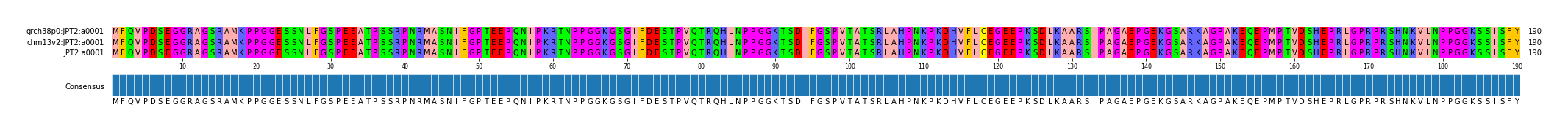 Multiple Alignments (by translate haplotype similarity)