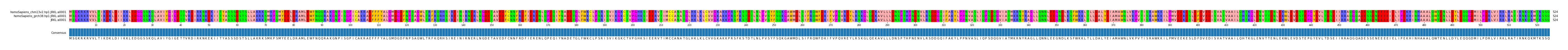 Multiple Alignments (by translate haplotype similarity)