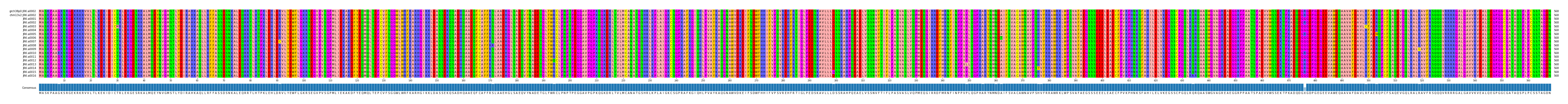 Multiple Alignments (by translate haplotype frequency)