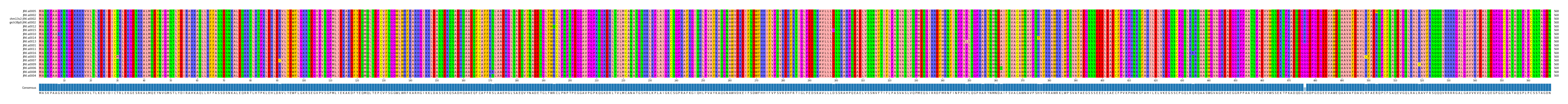 Multiple Alignments (by translate haplotype similarity)